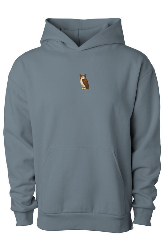 ZooWear - Owl Unisex Hoodie Blue Magic